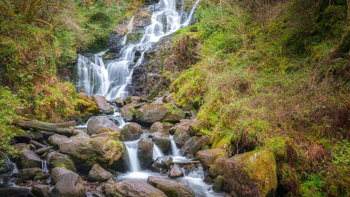 愛爾蘭景點 Killarney National Park