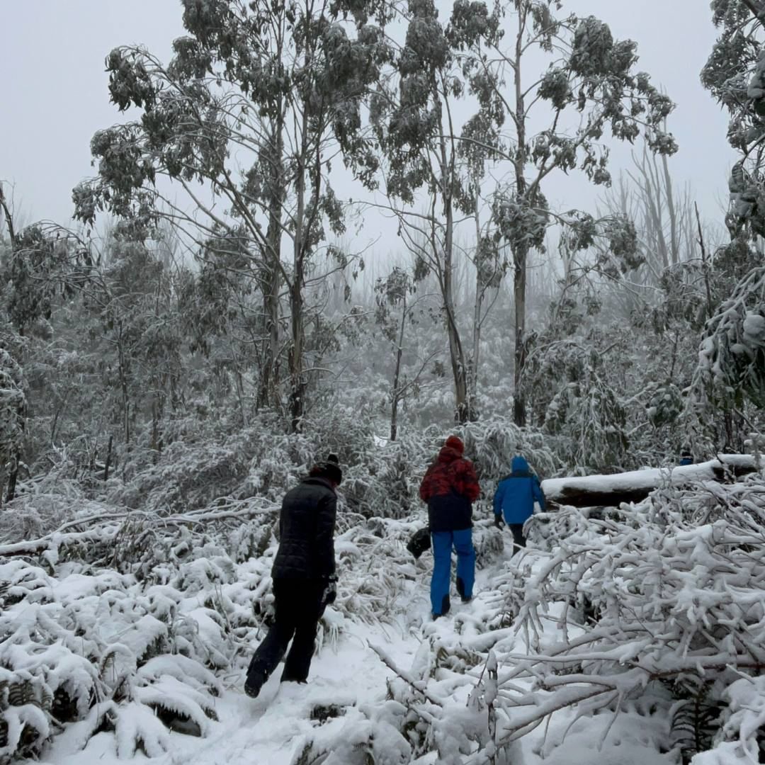 墨爾本旅遊景點 墨爾本湖山雪場