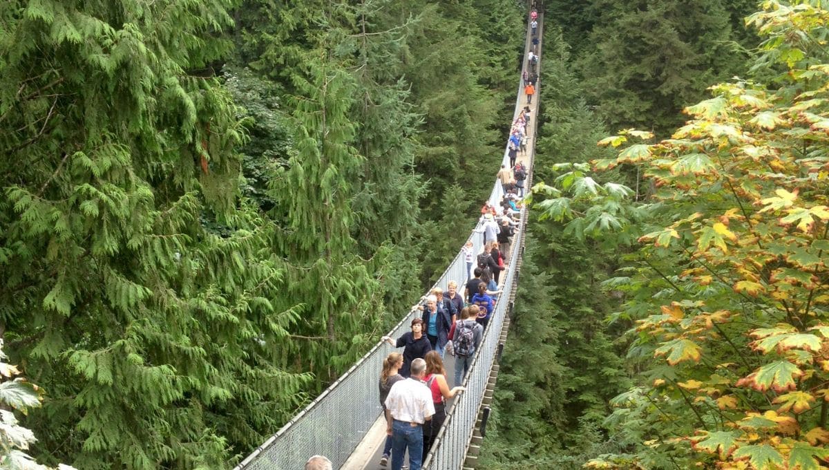 溫哥華景點 #4：卡皮拉諾吊橋公園 Capilano Suspension Bridge Park