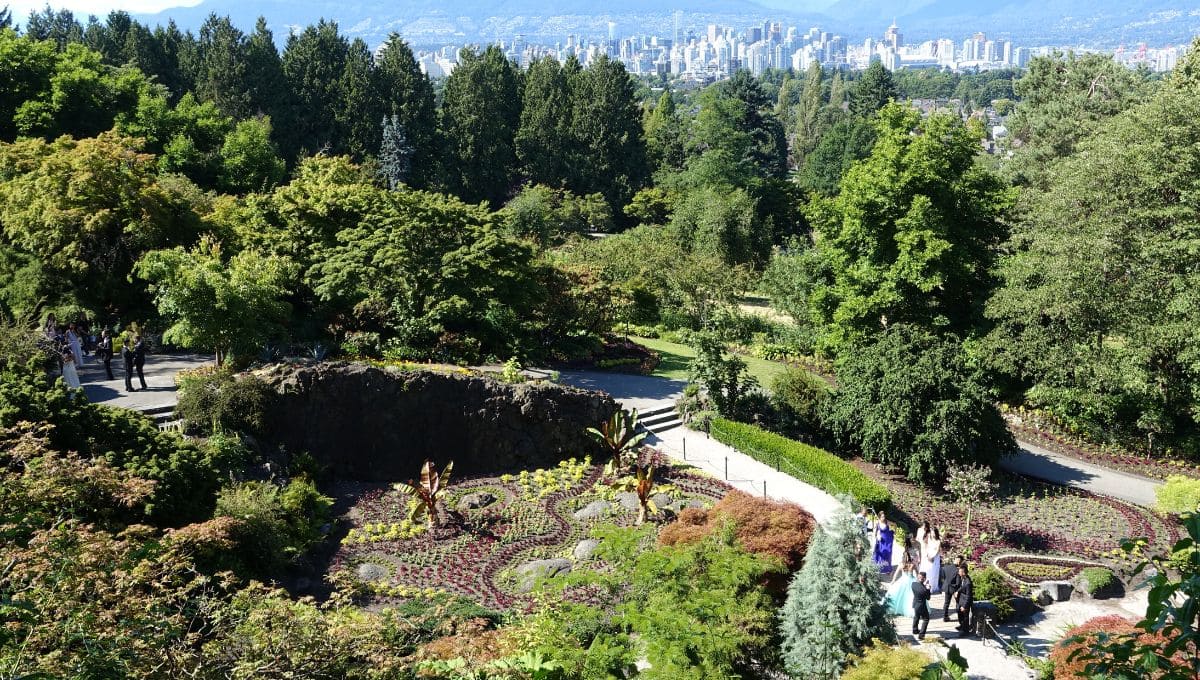 溫哥華景點 #6：伊莉莎白女王公園 Queen Elizabeth Park